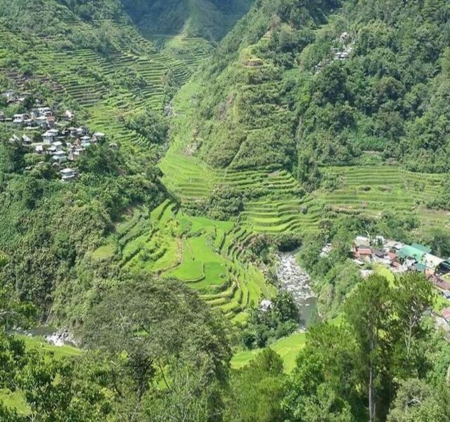 Han ohan bobled Pula hi baranggay di Banawi Han ohan bobled Pula hi baranggay di Banawi